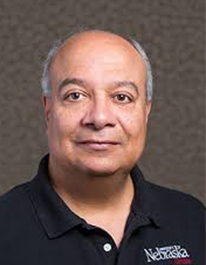Prof. Hesham H.Ali